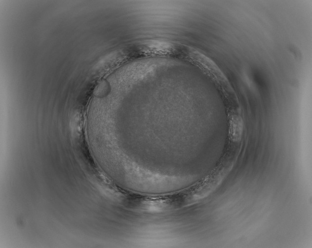 X0000112780701200908201529