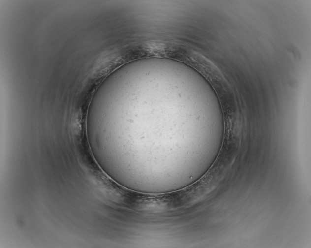 X0000112780702200908201529