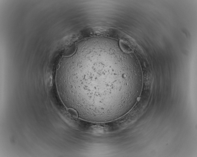 X0000112780703200908201529