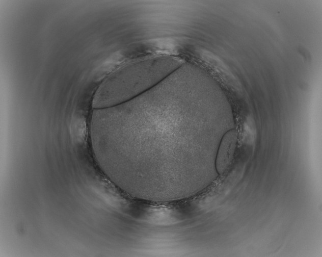 X0000112780704200908201529