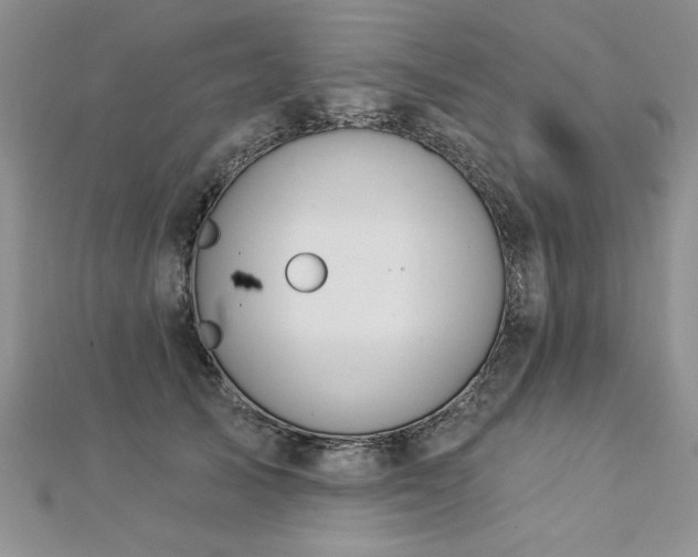 X0000112780705200908201529