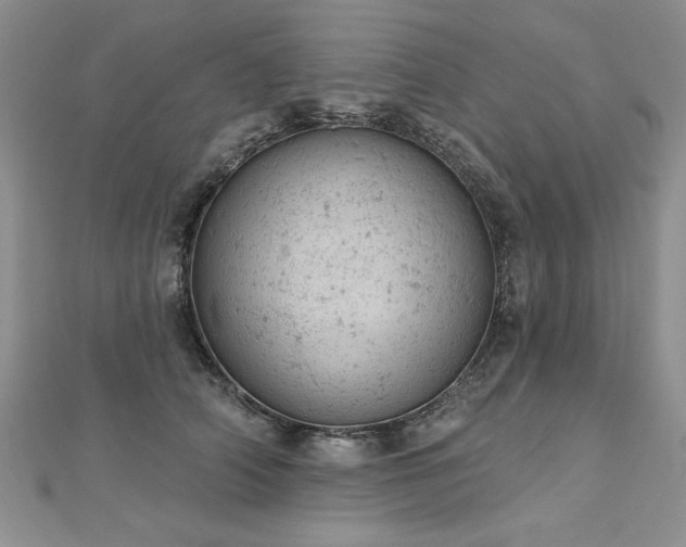 X0000112780706200908201529