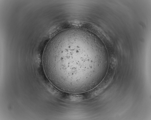 X0000112780707200908201529