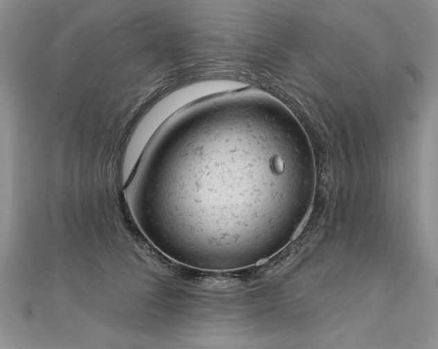 X0000112780708200908201529