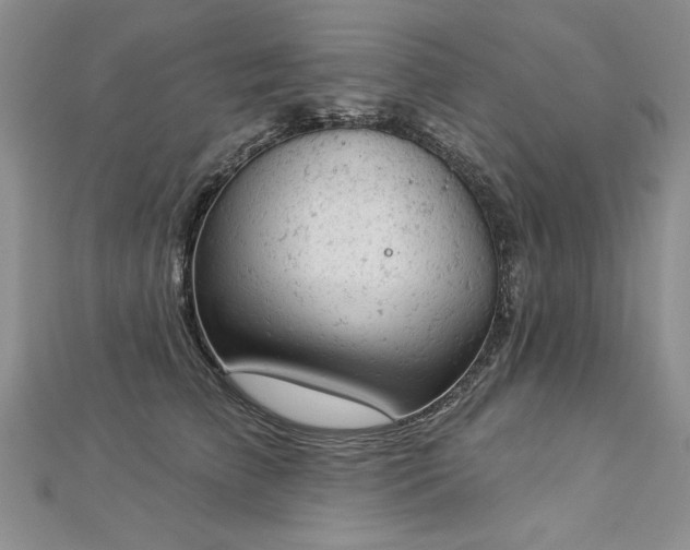 X0000112780709200908201529