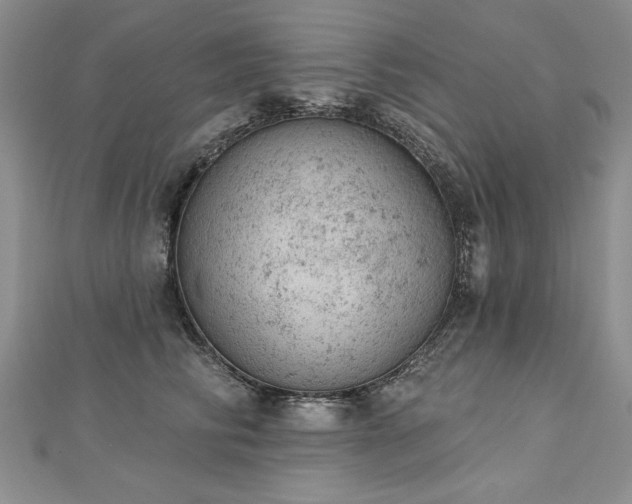 X0000112780710200908201529