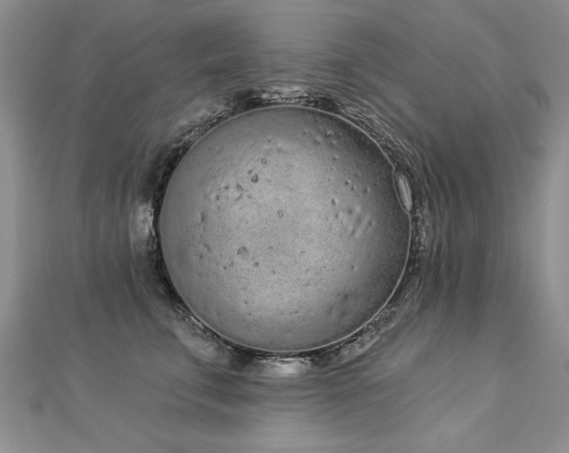 X0000112780711200908201529