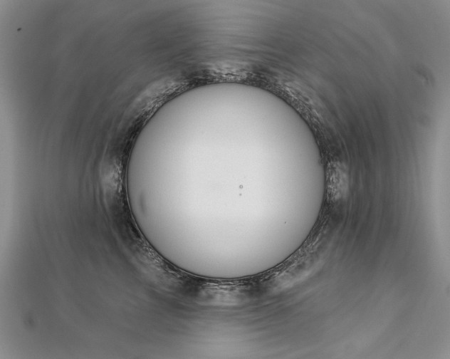 X0000112780713200908201529