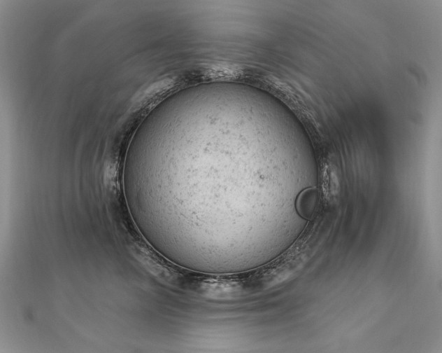 X0000112780714200908201529