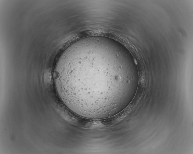 X0000112780715200908201529