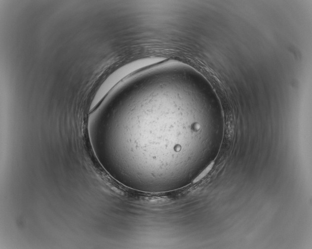 X0000112780716200908201529