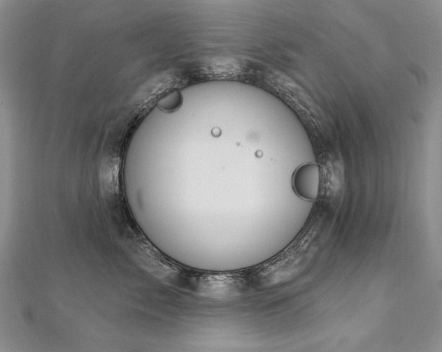 X0000112780717200908201529