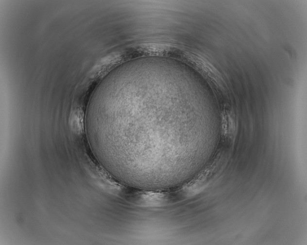 X0000112780718200908201529