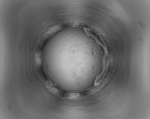 X0000112780719200908201529