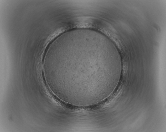 X0000112780721200908201528