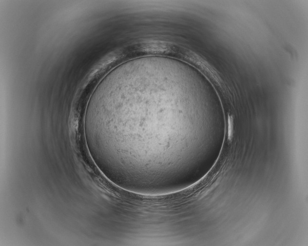 X0000112780723200908201528