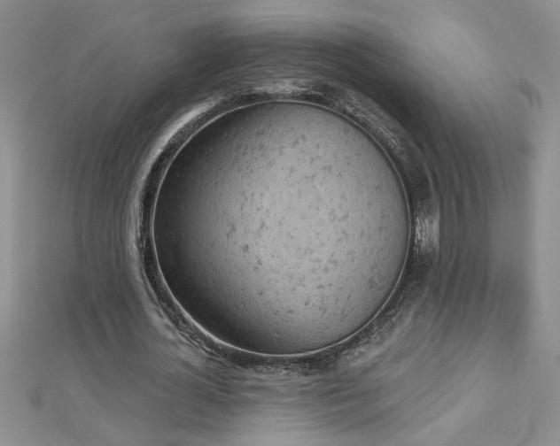 X0000112780724200908201528