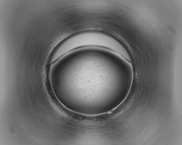 X0000112780725200908201528