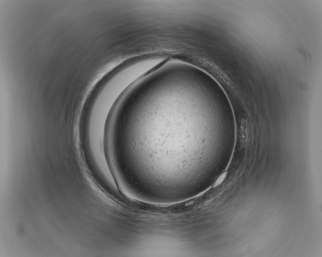 X0000112780726200908201528