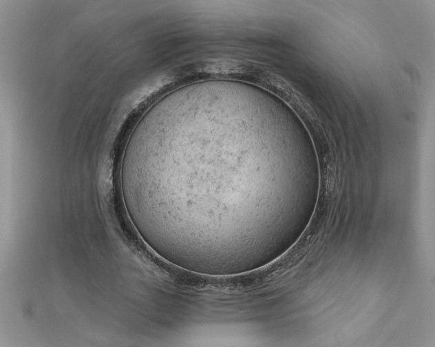 X0000112780727200908201528