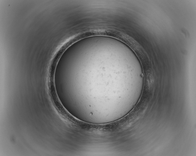 X0000112780728200908201528