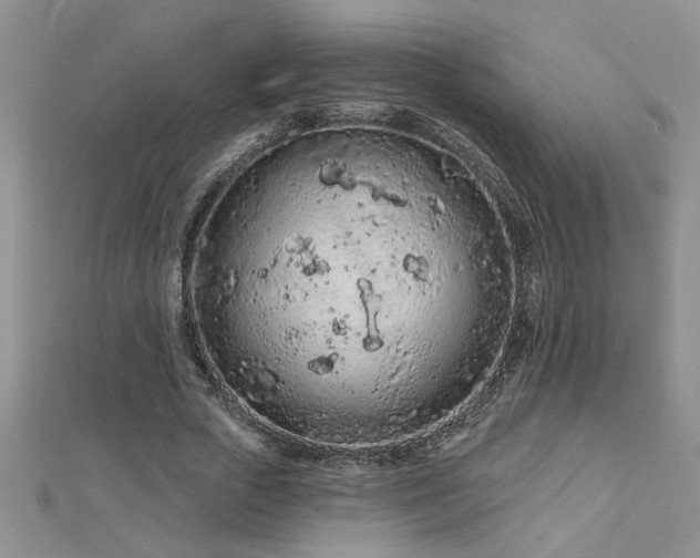 X0000112780729200908201528