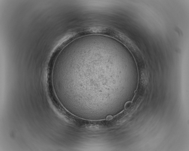 X0000112780730200908201528