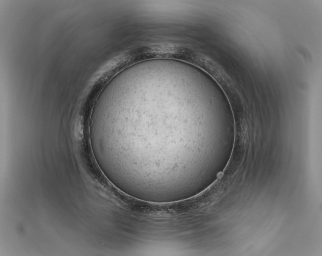 X0000112780731200908201528