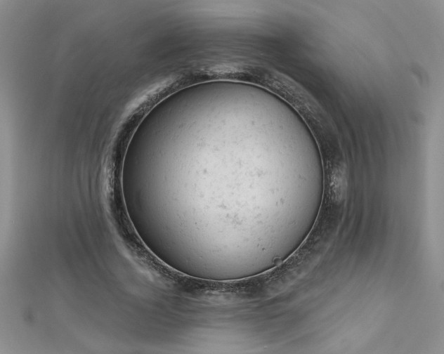 X0000112780732200908201528