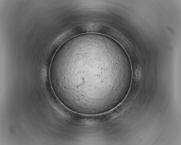 X0000112780733200908201528