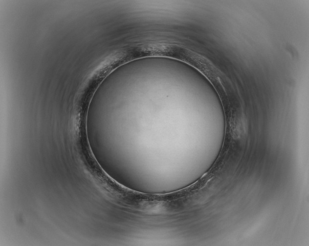 X0000112780735200908201528