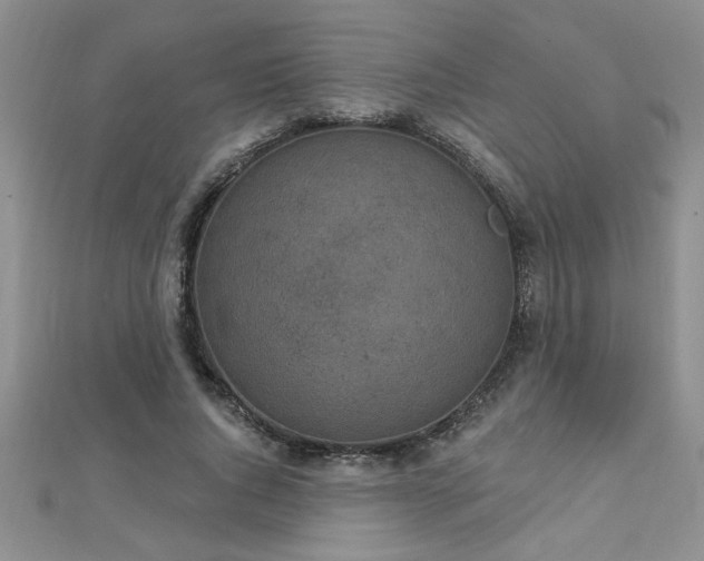 X0000112780736200908201528