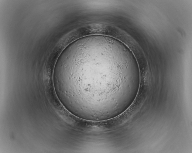 X0000112780737200908201528