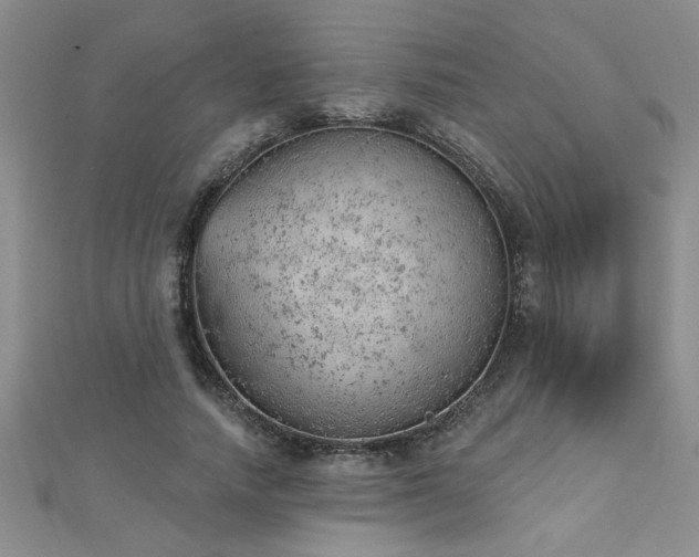 X0000112780738200908201528