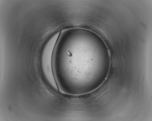 X0000112780740200908201528