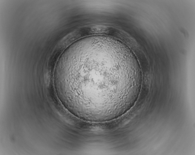 X0000112780741200908201528