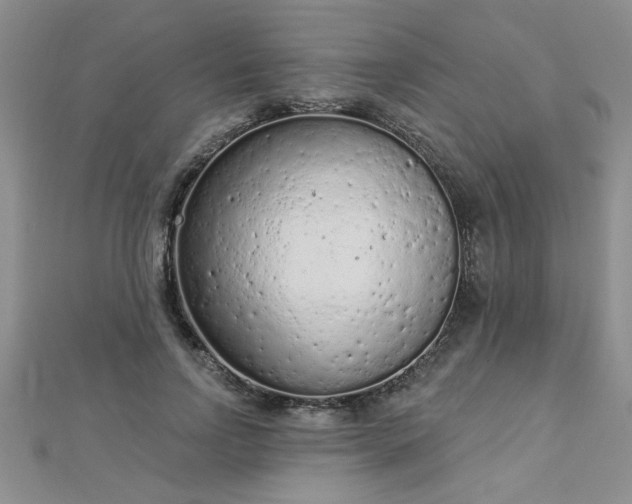 X0000112780742200908201528