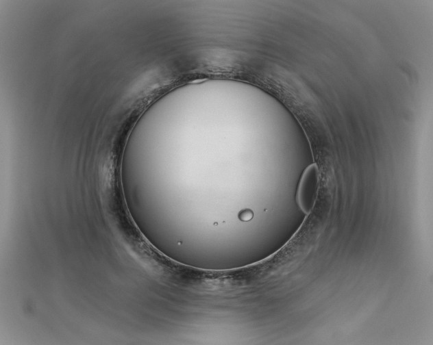 X0000112780744200908201528