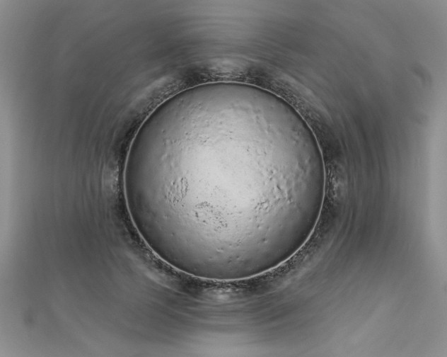 X0000112780745200908201528