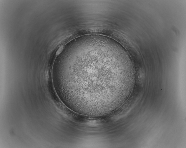 X0000112780746200908201528