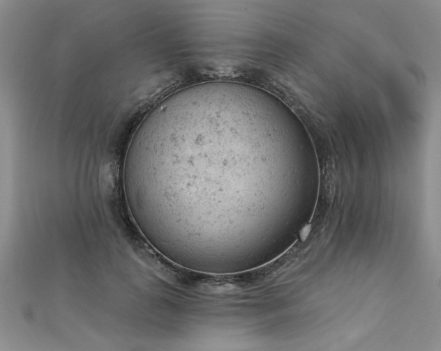 X0000112780747200908201528