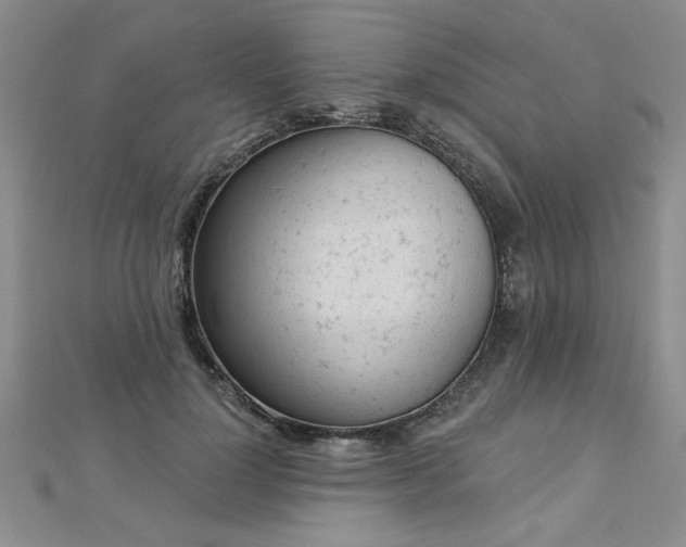 X0000112780748200908201528