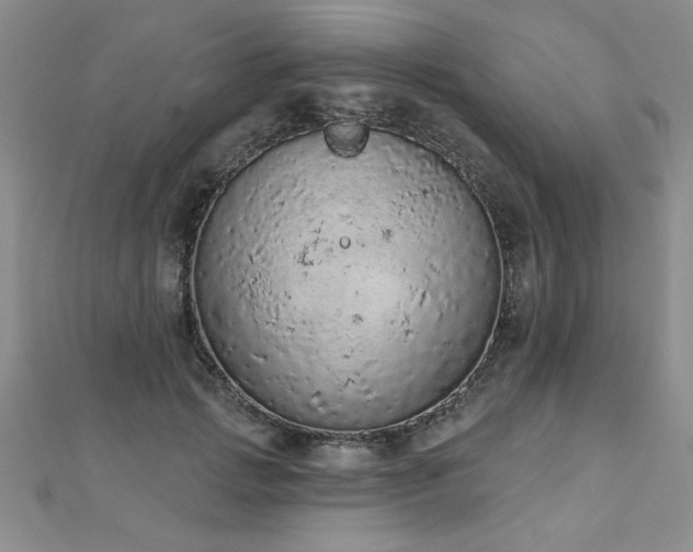 X0000112780749200908201528