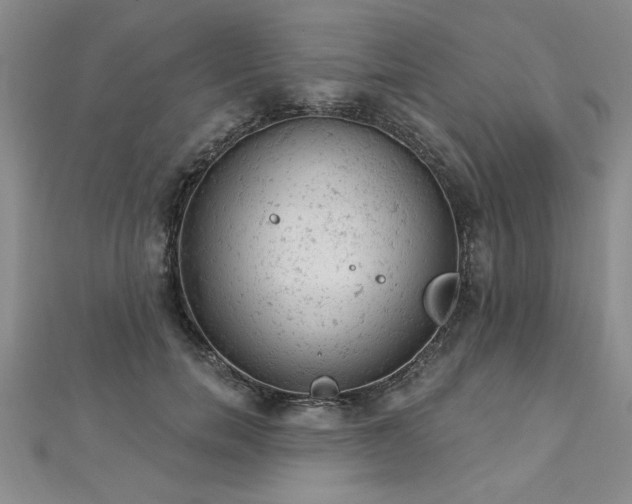 X0000112780750200908201528