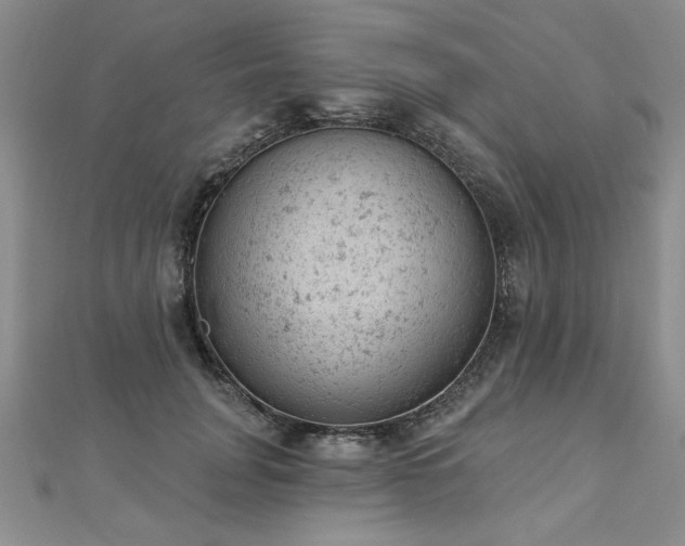 X0000112780751200908201528