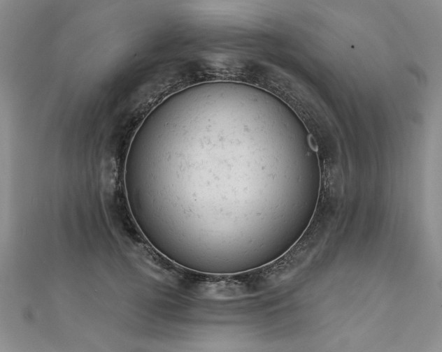 X0000112780752200908201528