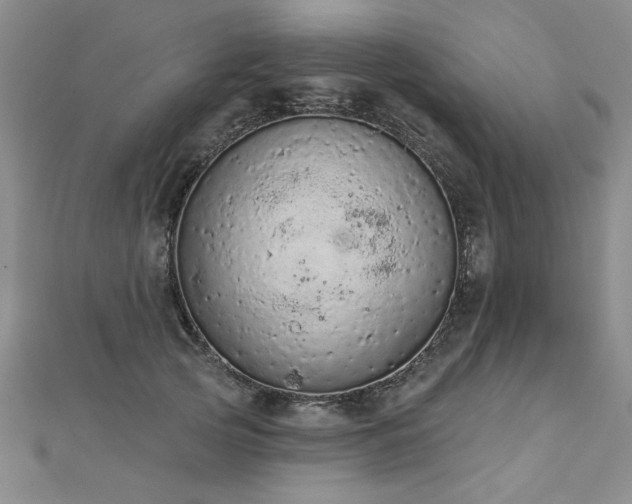 X0000112780753200908201528