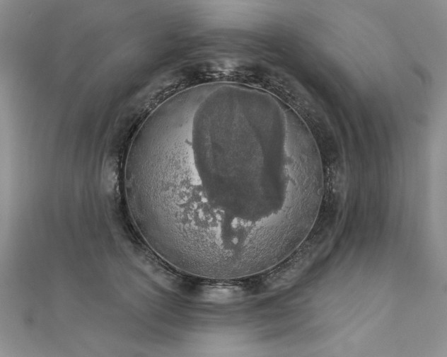 X0000112780754200908201528