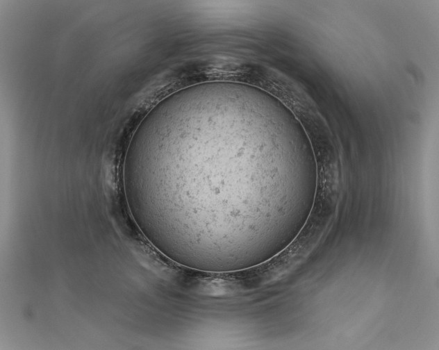 X0000112780755200908201528