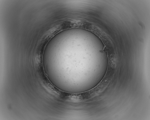 X0000112780756200908201528